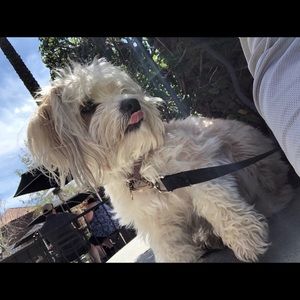 Meet your Posher, Nathan